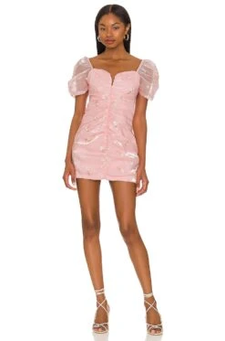 X REVOLVE Skylark Mini Dress Pink Embroidery