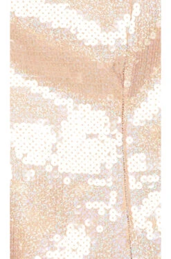 Gina Gown Gold Multi -Fashion Clothing Store BROR WD495 V4