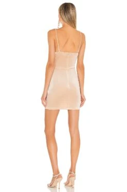 Erika Feather Trim Mini Dress Champagne -Fashion Clothing Store SPDW WD1698 V3