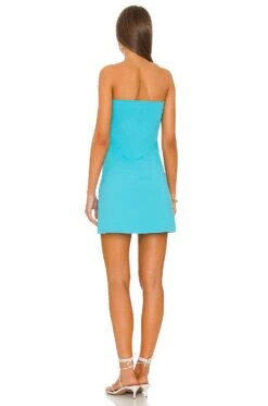 Tube Dress Susana Monaco -Fashion Clothing Store SUSA WD2006 V3