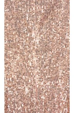 Emilia Mini Dress Rose Gold 9 Emilia Mini Dress Rose Gold -Fashion Clothing Store TULA WD1402 V4